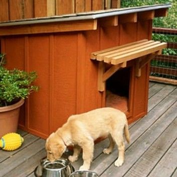 How To Build A Dog House