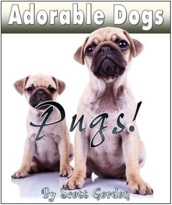 Adorable Dogs: Pugs!