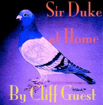 Sir Duke at Home