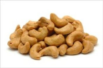 Growing Cashews For Beginners