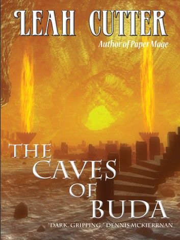 The Caves of Buda