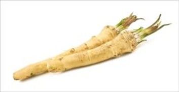 How to Grow Horseradish