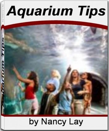 Aquarium Tips