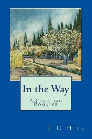 In the Way: A Christian Romance
