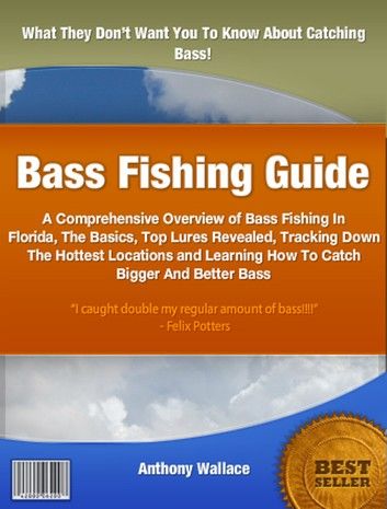 Bass Fishing Guide