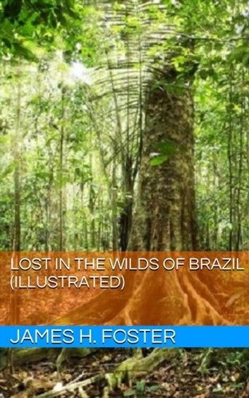 Lost in the Wilds of Brazil (Illustrated)