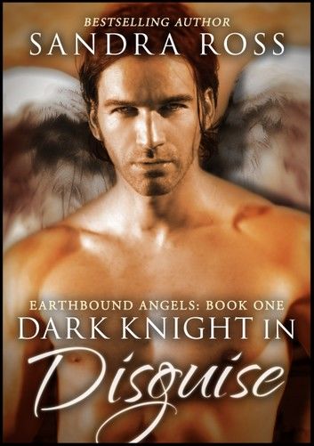 Dark Knight in Disguise (Complete) : Earthbound Angels Book 1