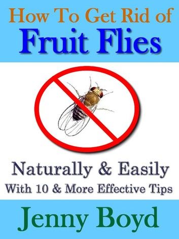 How To Get Rid of Fruit Flies: Naturally & Easily