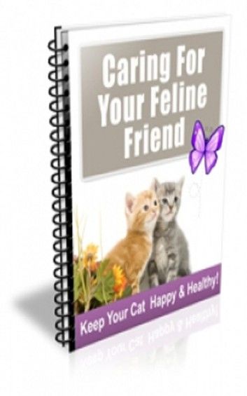 How To Caring For Your Feline Friend