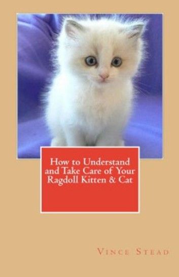 How to Understand and Take Care of Your Ragdoll Kitten & Cat