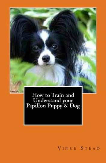 How to Train and Understand your Papillon Puppy & Dog