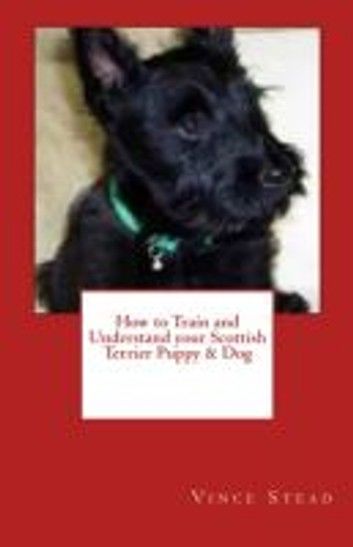 How to Train and Understand your Scottish Terrier Puppy & Dog