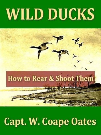 Wild Ducks, How to Rear and Shoot Them