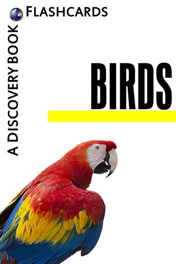 Birds: A Discovery Book (Flashcards)