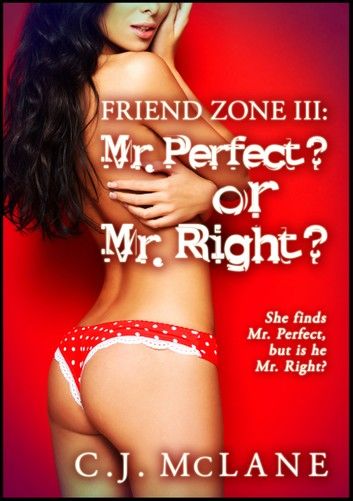 Mr Perfect? or Mr Right?: Friend Zone 3