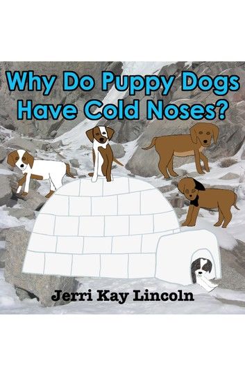 Why Do Puppy Dogs Have Cold Noses?