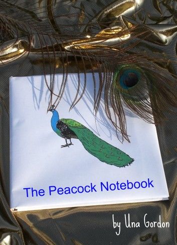 The Peacock Notebook - an easy yet intriguing read