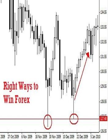 Right Ways to Win Forex