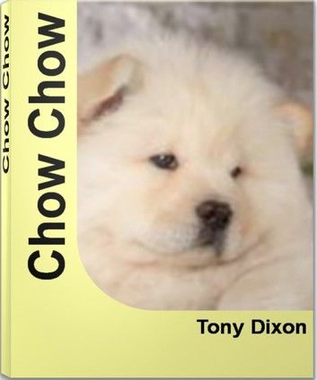 Chow Chow