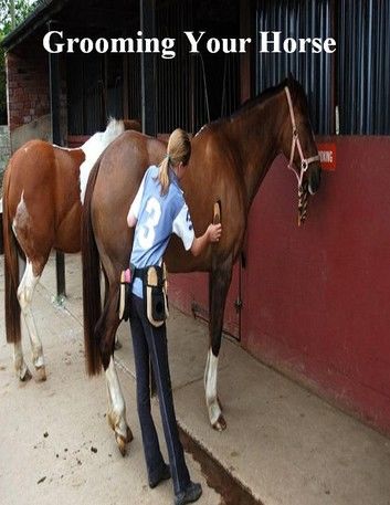 Grooming Your Horse