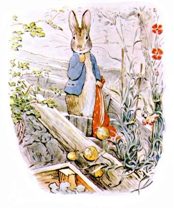 The Original Peter Rabbit Books