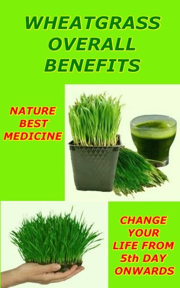 Wheatgrass For Overall for Well Being