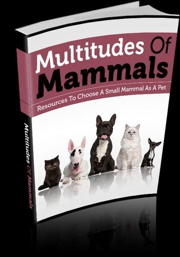 Multitudes Of Mammals