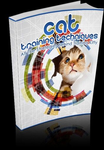 Cat Training Techniques