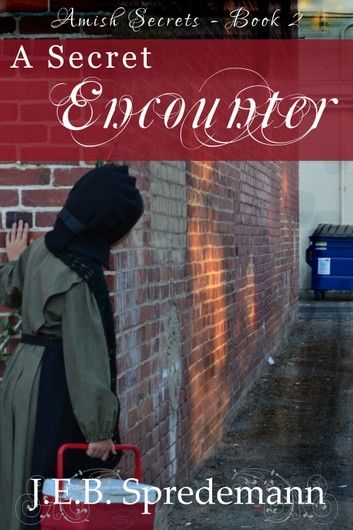 A Secret Encounter (Amish Secrets - Book 2)
