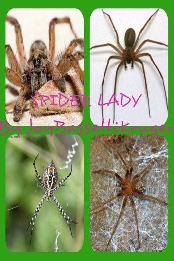Spider Lady