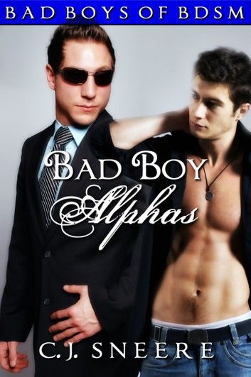 Bad Boy Alphas: Bad Boys of BDSM Vol. 4