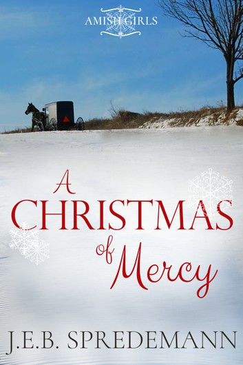 A Christmas of Mercy