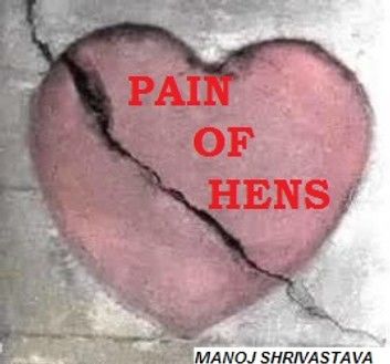 PAIN OF HENS