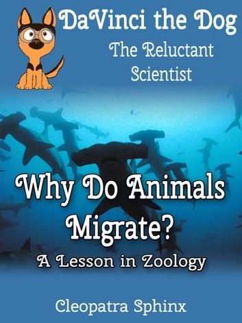 DaVinci the Dog, the Reluctant Scientist #3: Why Do Animals Migrate?