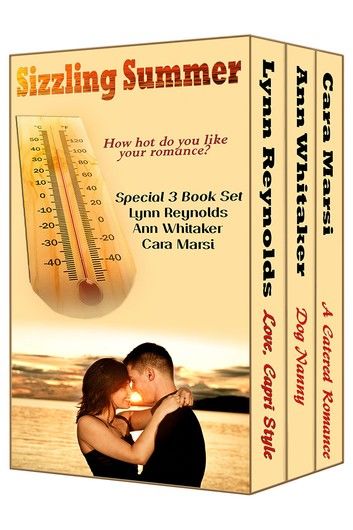 Sizzling Summer (Boxed Set)