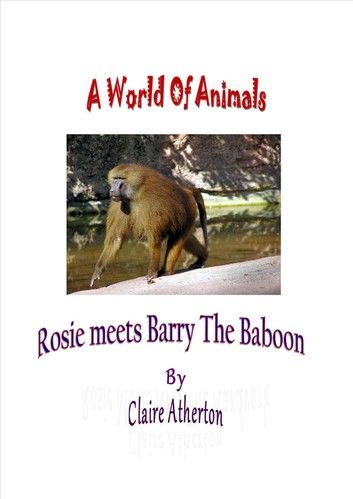 Rosie Meets Barry The Baboon