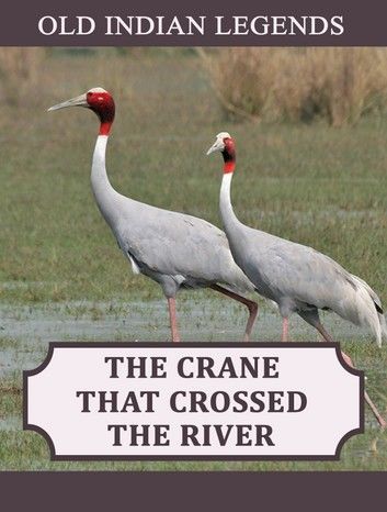 The Crane that Crossed the River
