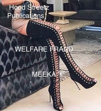 Welfare Fraud