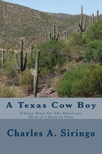 A Texas Cow Boy (Illustrated Edition)