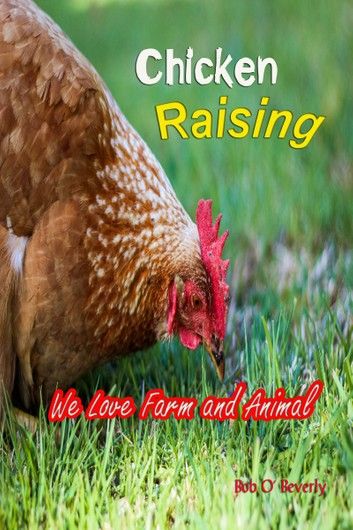 Chicken Raising