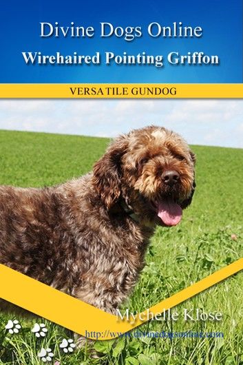 Wirehaired Pointing Griffon