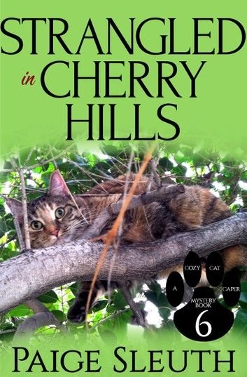 Strangled in Cherry Hills