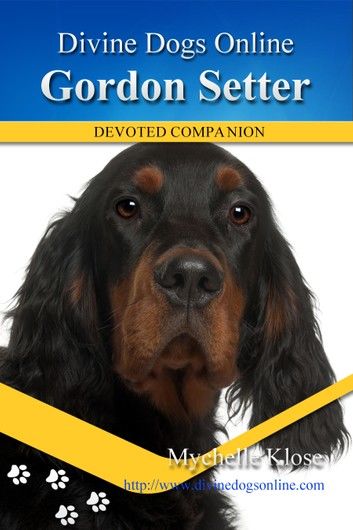 Gordon Setter