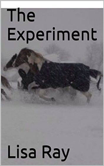 The Experiment