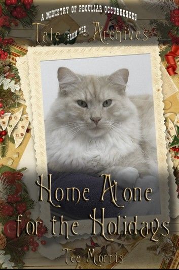 Home Alone for the Holidays