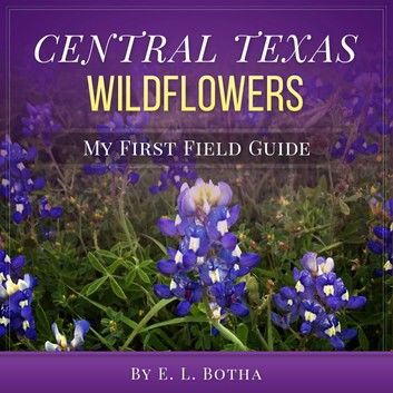 Central Texas Wildflowers