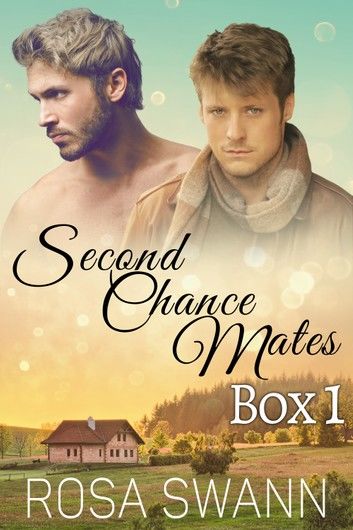 Second Chance Mates Collection 1