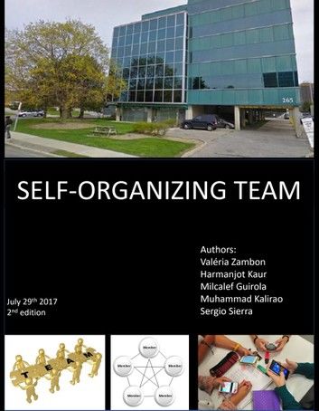 Self Management Team