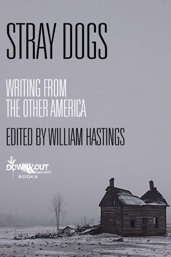 Stray Dogs: Writing from the Other America