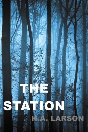 The Station